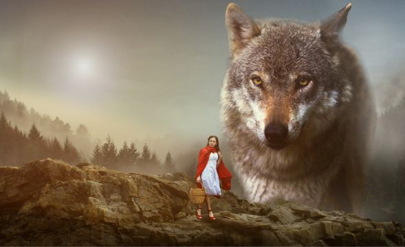 Rotkäuferlein und der böse Fachbereichswolf