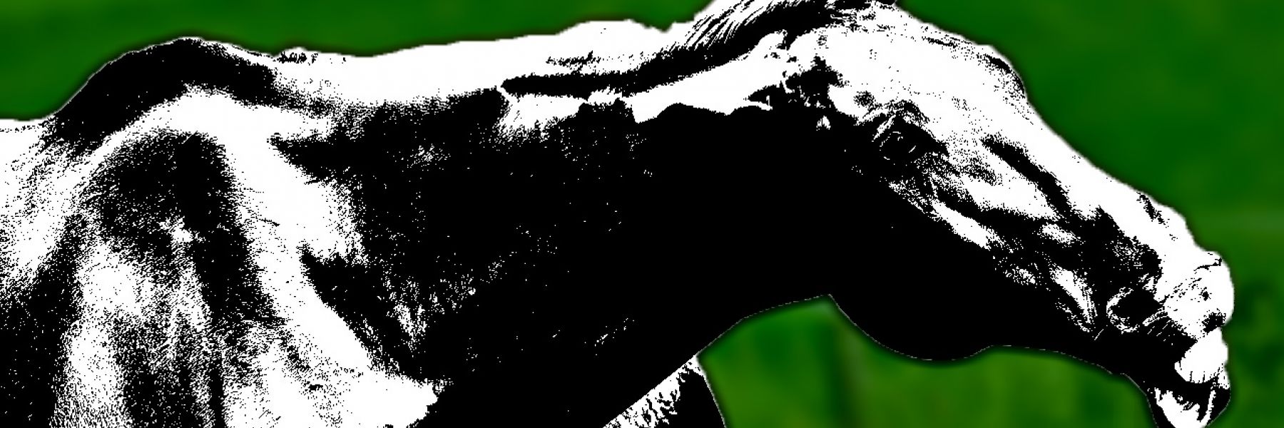 Jahresendgespräche mit Lieferanten: „Halt doch einfach mal die Fresse“?